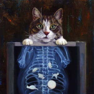 Cat Scan by Lucia Heffernan, Cute Cat Art, Whimsical Animal Wall Decor, Gift for Cat Lover, Cartoon Cat Art