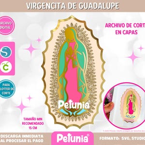 Virgencita de Guadalupe archivo de trazado en vector, trazo digital para corte en plotter, diseñado en capas, en formato studio y svg