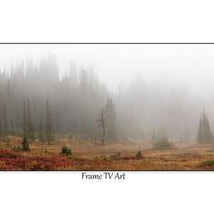 Samsung Frame TV Art, TV Frame Art, Tree Fog TV Art, Digital Download for Samsung Frame