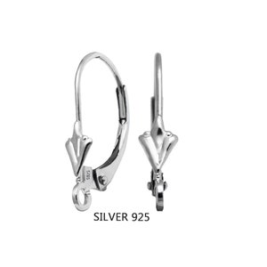 5 Pair Stainless Steel Leverback Earring Hooks, C94 