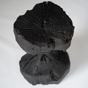 READY to SHIP Tree Stump Side Coffee Table. Wooden Black Table. Natural ...