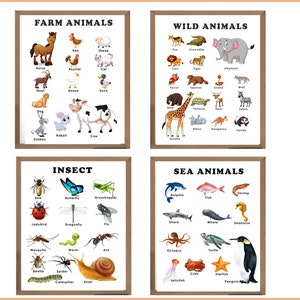 Meerestiere, Insekten, wilde Tiere und Bauernhof Tiere Printable Set, Lernressource, Schule, Vorschule, Klassenzimmer Poster, pädagogisches