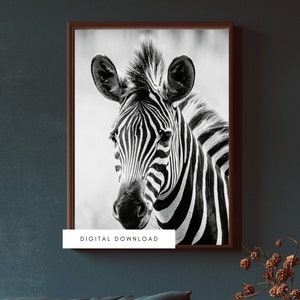Zebra Wall Print, Digital download, Printable Wall Art