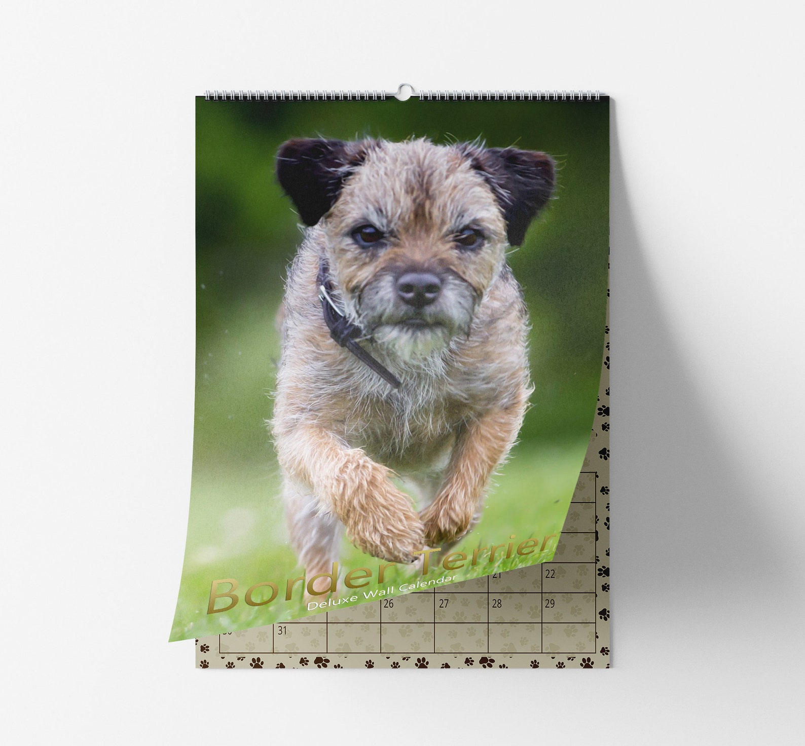 Border Terriers 2023 Deluxe Wall Calendar Personalised Name - Etsy