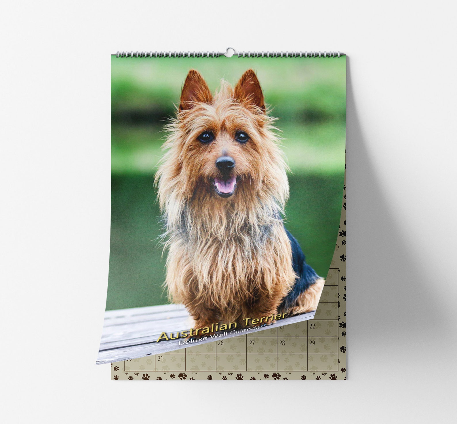 Australian Terrier 2023 Deluxe Wall Calendar Personalised Etsy