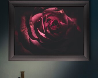 Dark Rose Canvas Print | Dramatic Floral Macro Photography