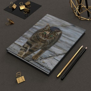 Cats of Greece (Nafplio) Matte Hardcover Journal