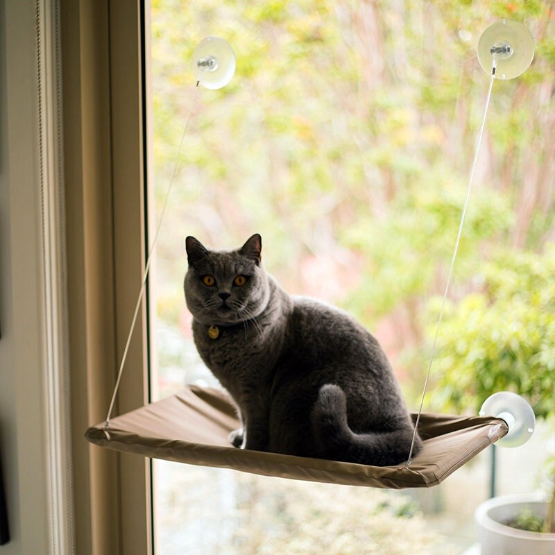 Shop-story - Cat Bed Hamac de Fenêtre Pour Chat