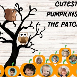 Thanksgiving Pumpkin Patch Bulletin Board Kit For Fall