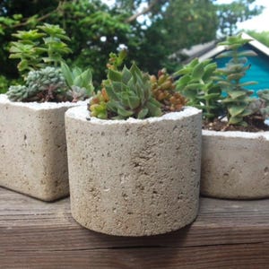 How to Make Concrete Planters Lightweight And Durable: Expert Tips