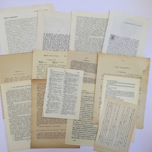Papierpakket van 40 pagina's in verschillende talen voor junkjournal, collage, verfraaiing, kortstondige papieren - Frans, Italiaans, Japans, Russisch