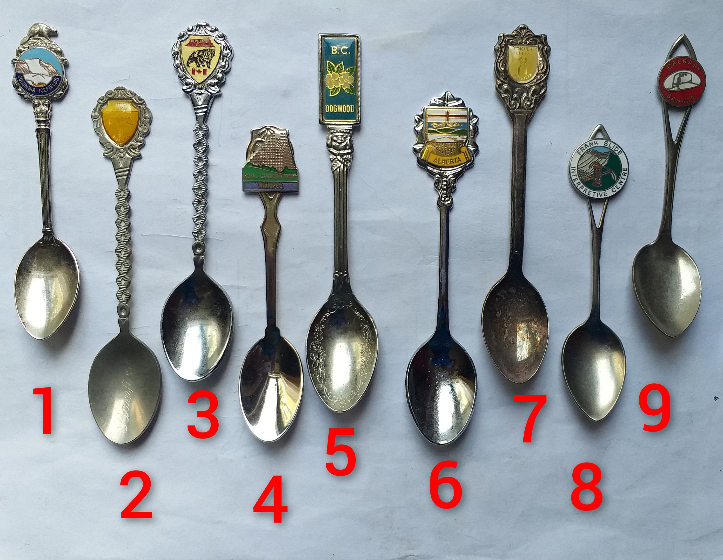 Bc souvenir spoon - Etsy 日本
