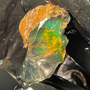 Puede incluir: Una piedra preciosa de ópalo en bruto con una mezcla de colores, incluyendo verde, amarillo y azul, se sostiene en una mano enguantada. El ópalo tiene una textura rugosa y natural con una apariencia marrón y clara. La gema es una pieza única.