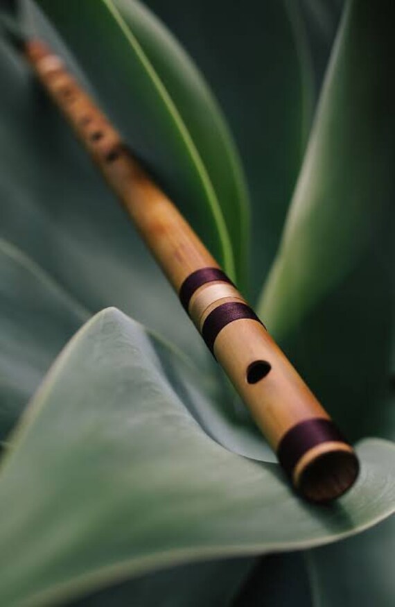 Música india Flautas profesionales C Medium Mano derecha - México
