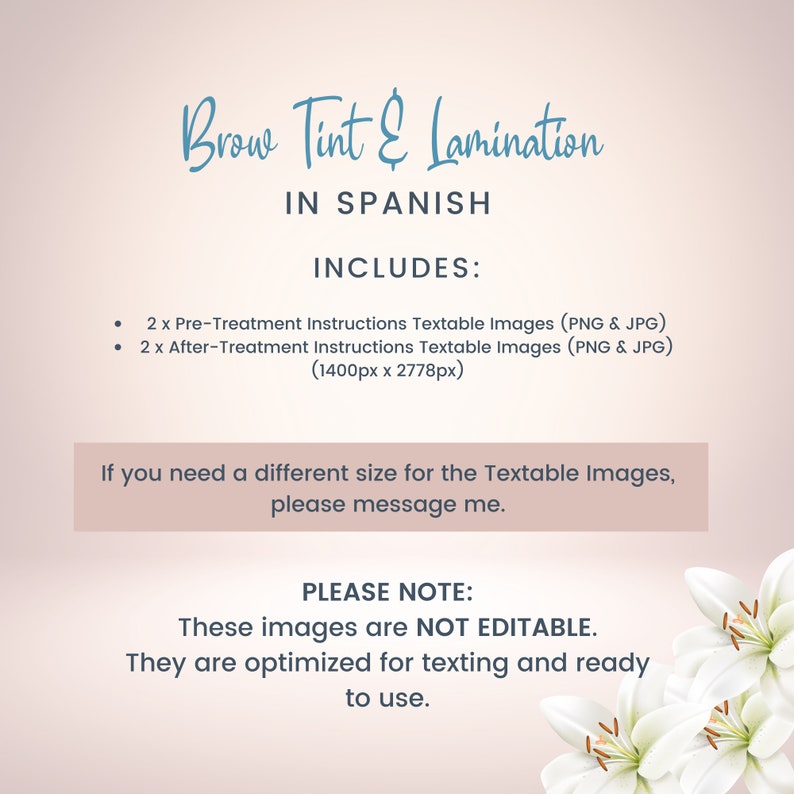 SPANISH Brow Tint and Lamination Precare and Aftercare Cards, Textable