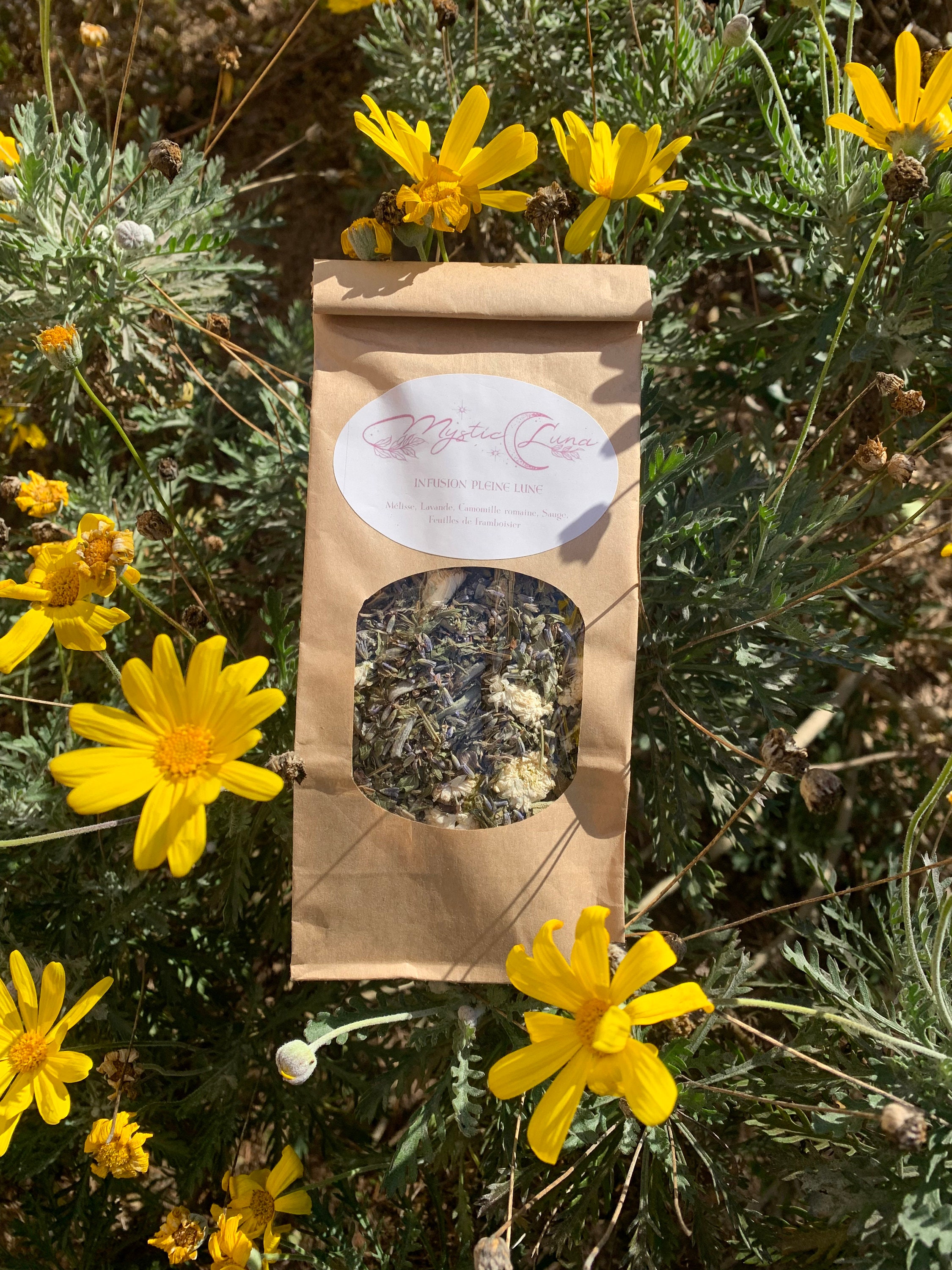 Infusion Magique Pour Vous Connecter à La Lune