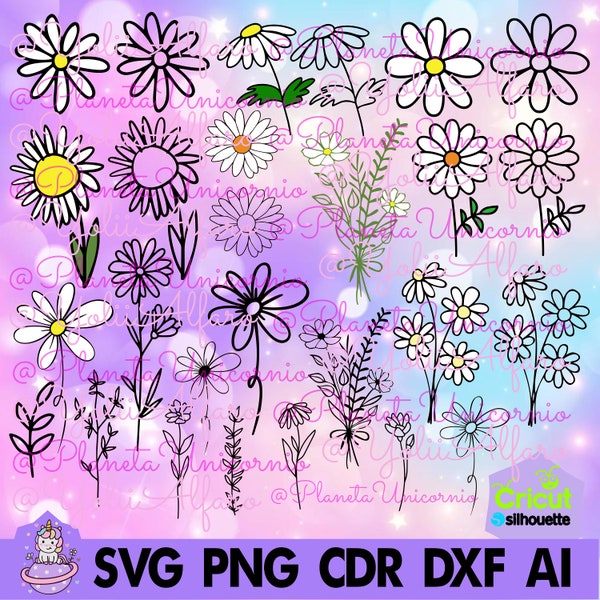 Daisies, Daisy flower, flower, flowers, daisy, daisies, marguerite, in svg png dxf cdr jpg