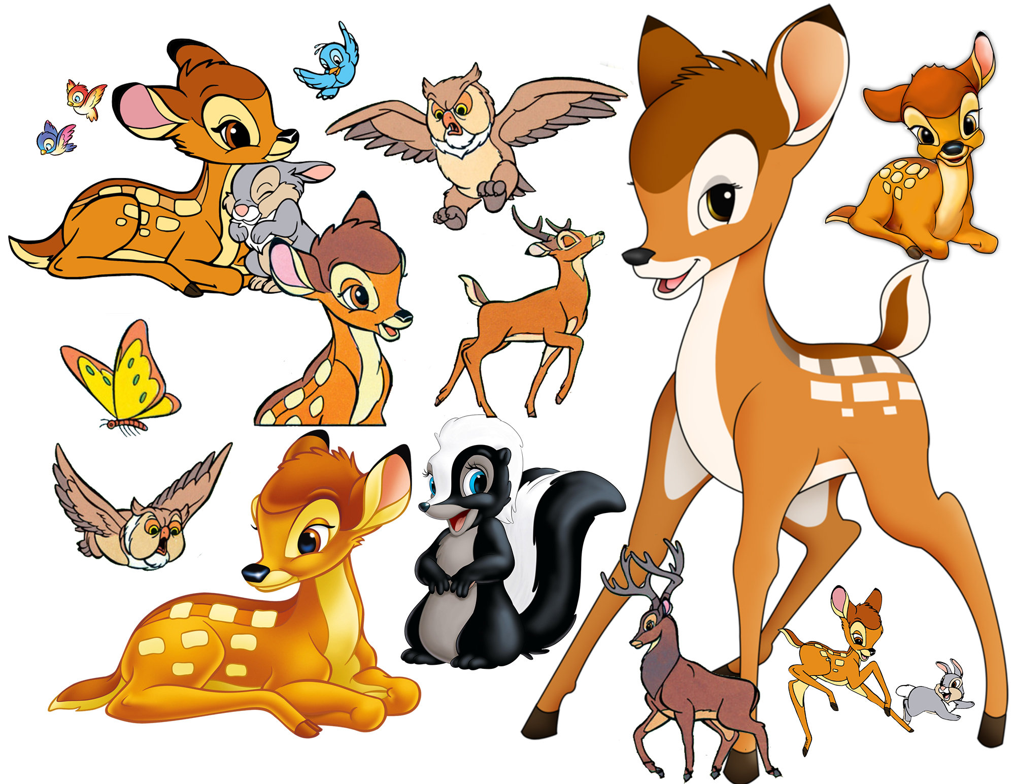 Bambi Deer Stock Video:  Discover Breathtaking Scenes - hi33ua5