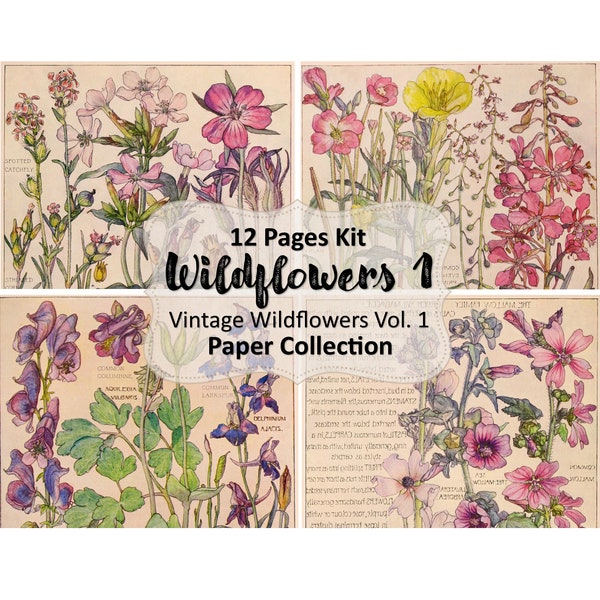 Wildblumen 12 Seiten Vol. 1 | Digital Kit, Junk Journal, Vintage, Ephemera, Digital Art, Digital Collage, Clipart