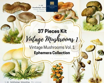 Vintage Mushrooms 37 Pcs. Vol. 1 | Ephemera, Digital Art, Clipart