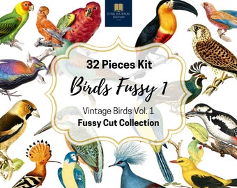 Birds Fussy Cuts 32 Pcs. Vol. 1 | Digital Kit, Junk Journal, Vintage, Ephemera, Digital Art, Digital Collage, Clipart