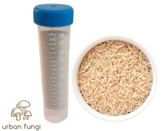 Tempeh starter Brown Rice Rhizopus Oligosporus Make Tempeh At Home