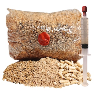 Mushroom Growing Kit Sawdust Based