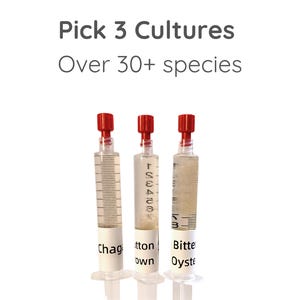 Puede incluir: Tres jeringas transparentes con tapas rojas, llenas de un líquido turbio, se muestran sobre un fondo blanco. Cada jeringa tiene una etiqueta con un nombre diferente: Chaga, Cotton y Bitter Oyster. El texto "Pick 3 Cultures" y "Over 30+ species" está en la parte superior.