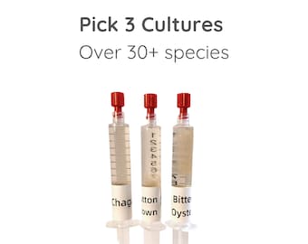 Pilz Flüssigkultur Spritze 3er Pack