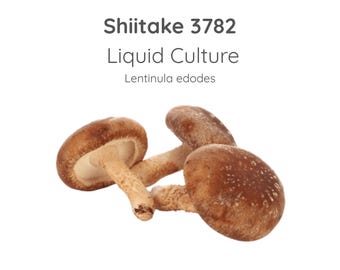 Shiitake 3782 Mushroom Liquid Culture Syringe