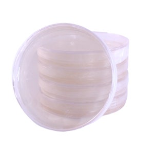 Petrischale mit Agar 5er Pack