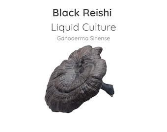 Black Reishi Mushroom Liquid Culture Syringe