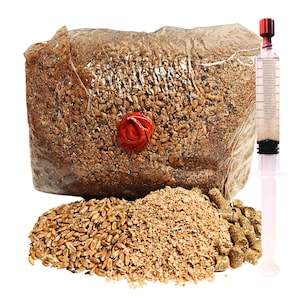 Mushroom Growing Kit Straw Based