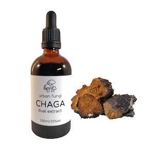 Tintura de extrato duplo de Chaga