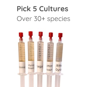 Puede incluir: Cinco jeringas con tapas rojas y líquido transparente, etiquetadas con varios nombres, se muestran sobre un fondo blanco. El texto "Pick 5 Cultures" y "Over 30+ species" está en la parte superior.
