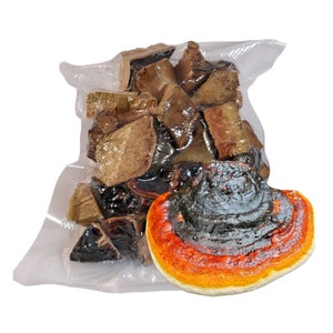 Red Belted Conk Chunks Fomitopsis Pinicola Gedroogd Ruw Vacuümverzegeld