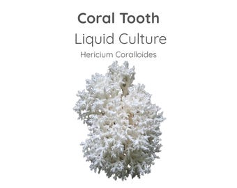 Coral Tooth Mushroom Liquid Culture Syringe