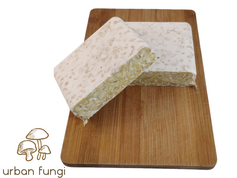 Pode incluir: Dois blocos de tempeh branco em uma t&aacute;bua de cortar de madeira. O tempeh &eacute; um produto de soja fermentado.