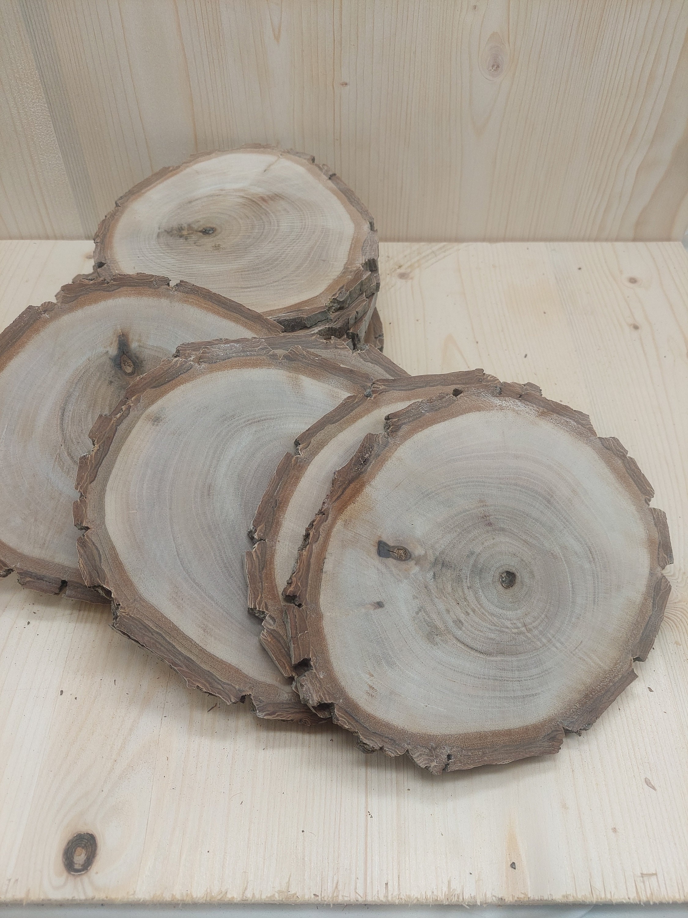 10x dischi di legno rotondi/dischi di ramo fai da te in legno d