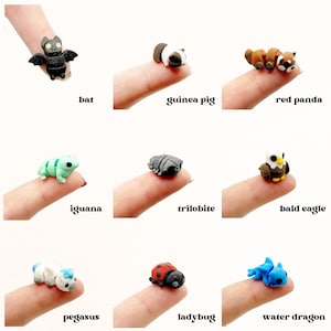 Miniature Articulated Animals 3D Printed Axolotl Otter Fox Fairy Garden Supplies Terrarium Figure Diorama Advent Calendar Stem Toy Rhino bild 12