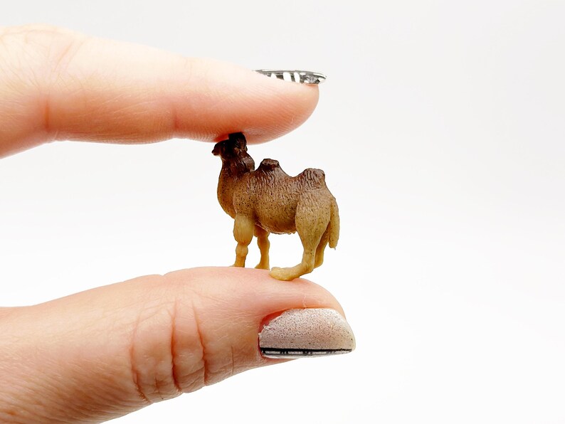 Mini Action Camel 5pc Camel Miniature Figurines Tiny Mini Figure Diorama Terrarium Small ...