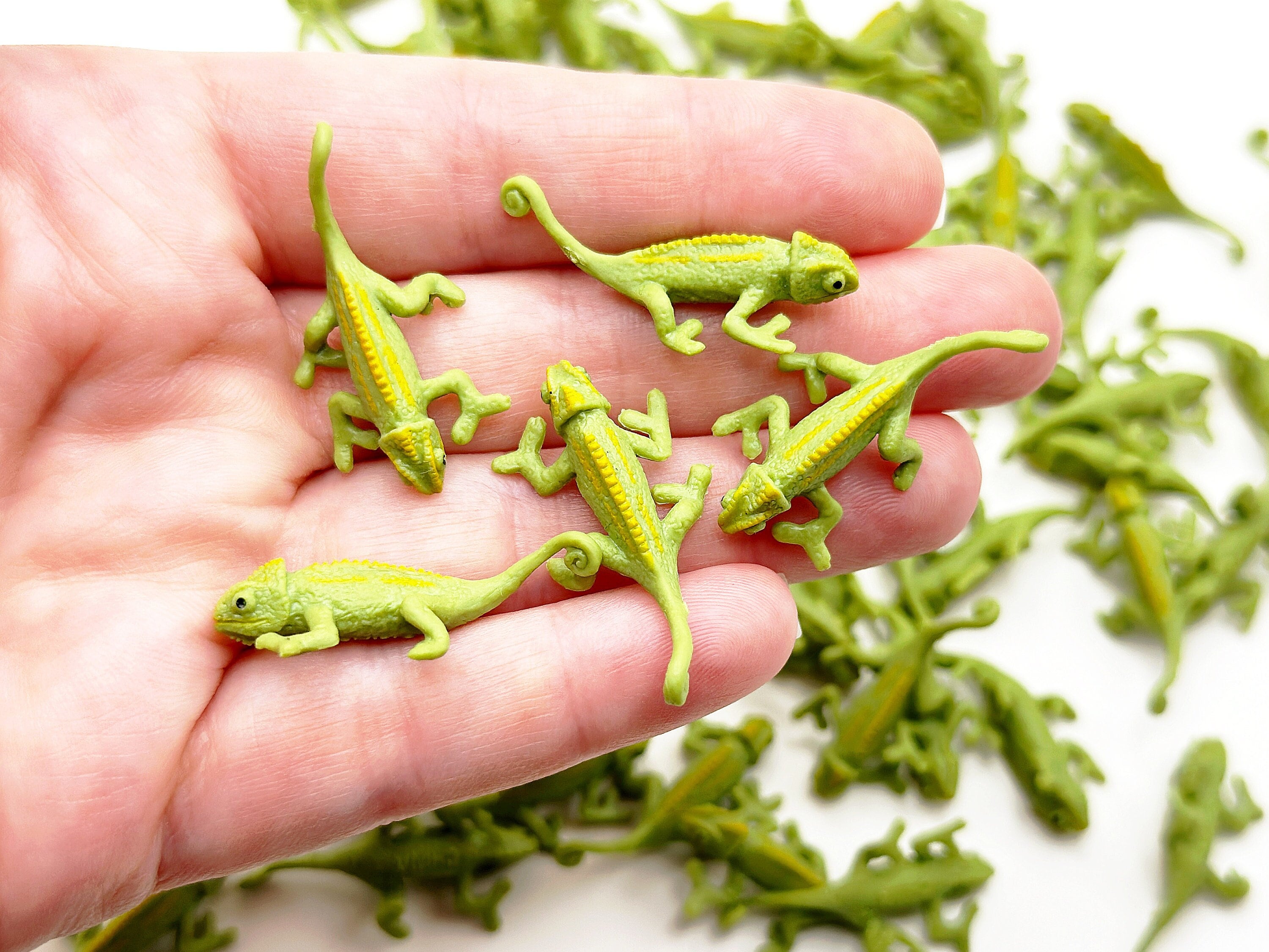 その他 Swedish Chameleon SC3 Tiny その他 Swedish Chameleon SC3 Tiny その他 Swedish Chameleon SC3