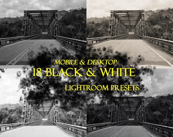 18 presets in Black & White shades