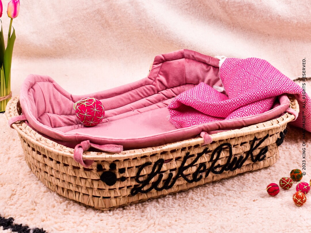 Personalized Cat Bed, Modern Cat Furniture, Custom Cat Gift Name, Large