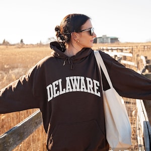 May include: A brown hooded sweatshirt with the word "DELAWARE" printed in white on the front. The sweatshirt is being worn by a person standing on a wooden walkway.