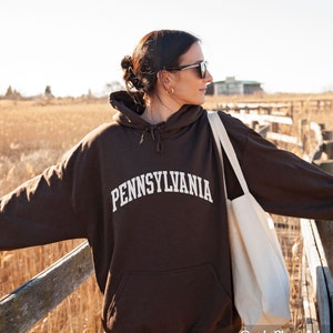 May include: A brown hoodie with the text "PENNSYLVANIA" in white lettering. The hoodie is worn by a person standing on a wooden walkway. The background is a field of tall grass.