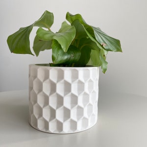 May include: A white ceramic planter with a hexagonal pattern, featuring a green leafy plant.