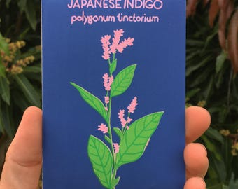 May include: A blue card with the text "JAPANESE INDIGO polygonum tinctorium" in white. A stylized illustration of a plant with green leaves and pink flowers is on the card.