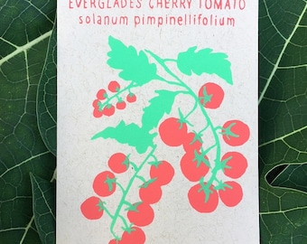 May include: A seed packet with a green and pink illustration of a cherry tomato plant. The text on the packet reads "EVERGLADES CHERRY TOMATO solanum pimpinellifolium".