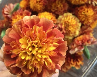 May include: Close-up of a vibrant marigold flower with layers of orange and yellow petals. The flower is in focus, with other marigolds in the background. The flowers are in a clear plastic container.